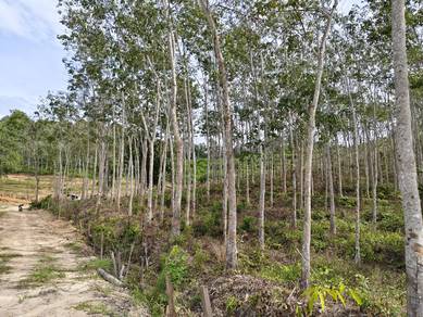 Agricultural-Land-for-sale-Padang-Terap-Kedah