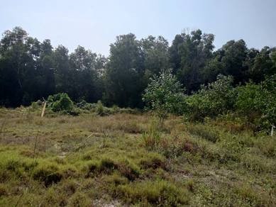 Land-for-sale-Kemaman-Terengganu