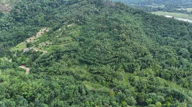 NT Land | 9.93 acres | Agricultural | Tamparuli | Kiulu | Tuaran |