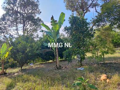 Lanchang Pahang durian plantation freehold for sale