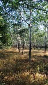 Agricultural-Land-for-sale-Selandar-Melaka