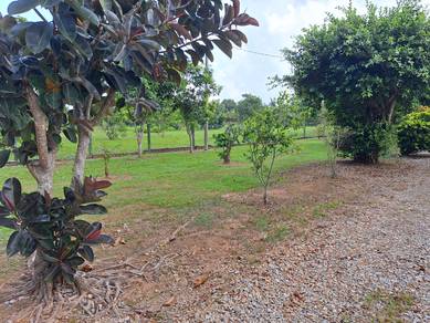 Agricultural-Land-for-sale-Kuala-Linggi-Melaka