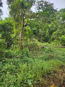 Agricultural-Land-for-sale-Ulu-Yam-Selangor-1