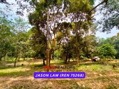 Durian Orchard (Durian Dusun) | Bukit Batu Pahat | Merbok | RM9.50 psf