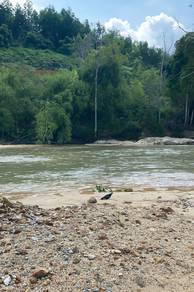 Agricultural-Land-for-sale-Bentong-Pahang-3