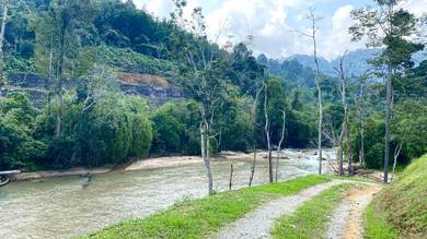 Agricultural-Land-for-sale-Bentong-Pahang