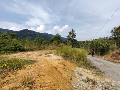 Tanah Pertanian FREEHOLD di Jalan Lama Bukit Putus