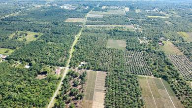 【Market Lowest Price】Pontian Agriculture Land 200 Palm Tree harvest