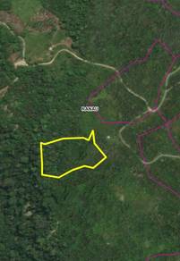 Agricultural-Land-for-sale-Kota-Kinabalu-Sabah