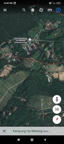 Agricultural-Land-for-sale-Kulim-Kedah