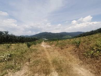 Agricultural-Land-for-sale-Jasin-Melaka-1