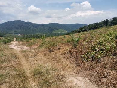 Agricultural-Land-for-sale-Jasin-Melaka-2