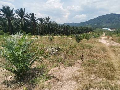 Agricultural-Land-for-sale-Jasin-Melaka