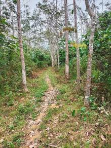 Agricultural-Land-for-sale-Baling-Kedah