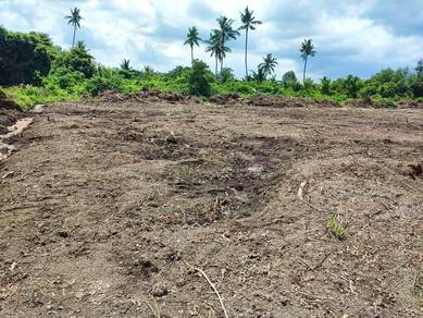 Tanah Pertanian Zoning Kediaman 0.5 Ekar di Pulau Indah, masuk geran