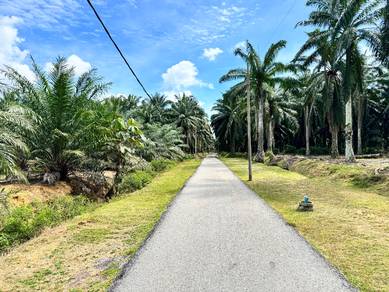 Freehold Agriculture Land For Sale At Pasir Panjang,Port Dickson,N.S
