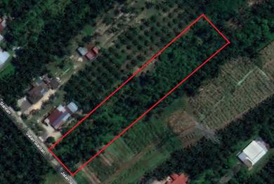 Tanah 1.5 Ekar Jalan Siantan Sungai Serdang TEPI JALAN+LOKASI BAIK+HOT