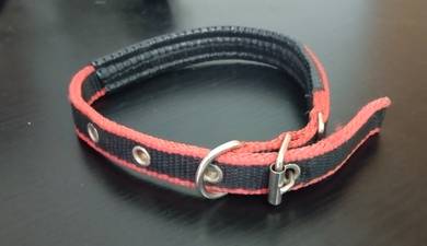 Nylon Collar for Dog and Cat