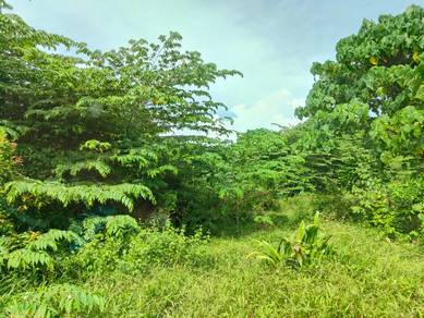 Agricultural-Land-for-sale-Bukit-Katil-Melaka