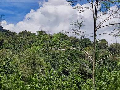 Tanah Pembangunan Kediaman dekat Tampin