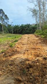 Agricultural-Land-for-sale-Temerloh-Pahang