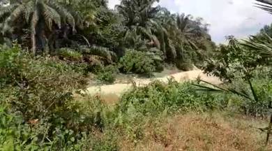 Agricultural-Land-for-sale-Nilai-Negeri-Sembilan