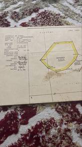 Land-for-sale-Kudat-Sabah