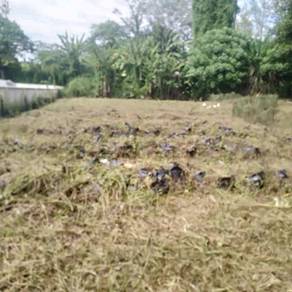 Bangi Bungalow land [Freehold] Sg Ramal for sale
