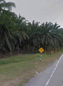 Mixed-Development-Land-for-sale-Pagoh-Johor