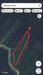 Agricultural-Land-for-sale-Sungai-Petani-Kedah