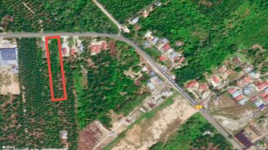 Agricultural-Land-for-sale-Pekan-Nanas-Johor