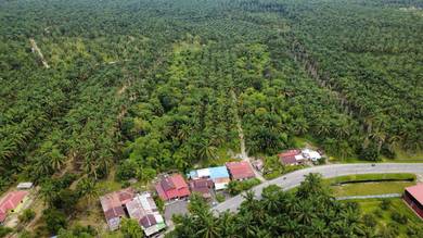 Agricultural-Land-for-sale-Bagan-Serai-Perak