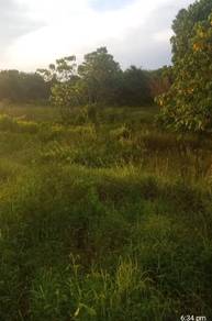 Agricultural-Land-for-sale-Padang-Terap-Kedah
