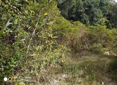 Tanah Berbukit Landai