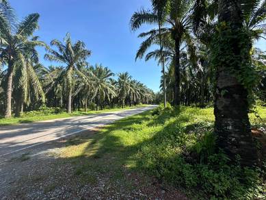 Pendang Kolej Matrikulasi Commercial / Industri IKS Zoning 10.27 Acr