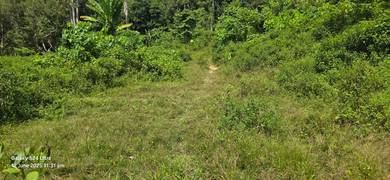 Agricultural-Land-for-sale-Mantin-Negeri-Sembilan