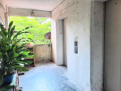 Cengal Taman Mas-1