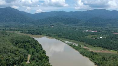 Tanah Tepi Sungai Perak Di Kg Luat Lenggong