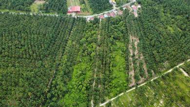 Agricultural-Land-for-sale-Bagan-Serai-Perak