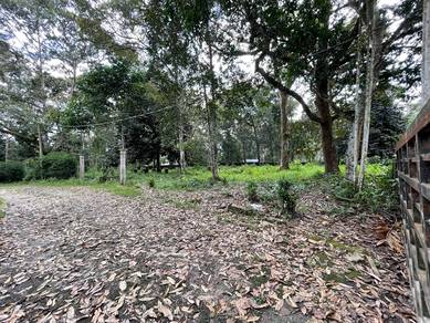 Tanah Pertanian 7 ekar Untuk Dijual Di Lubok Kelubi, Mukim Hulu Langat