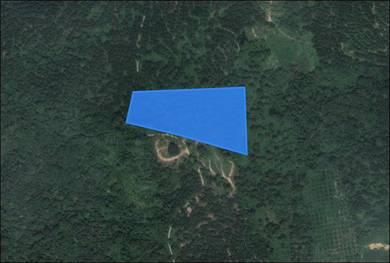 [FREE RUMAH] Tanah Pertanian Raub, Pahang