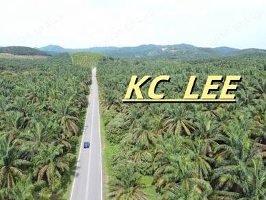 Main Road 101 Acres Agricultural Land For Sale @ Labu Besar,Karangan
