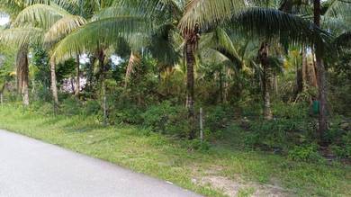 TANAH PERTANIAN KAMPUNG AIR HITAM,SRI DAMAI KUANTAN Untuk Dijual