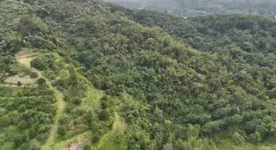 Agricultural-Land-for-sale-Kota-Kinabalu-Sabah-2