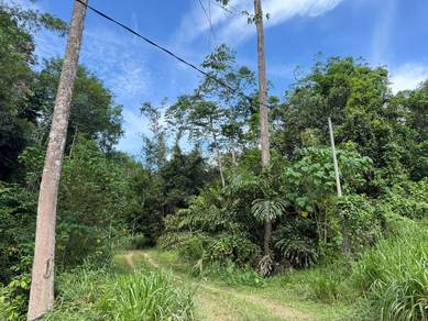 Agricultural-Land-for-sale-Kota-Kinabalu-Sabah-3