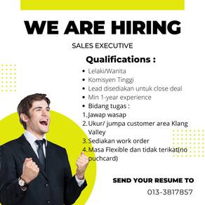 sales executive