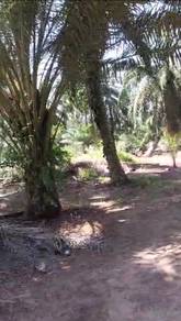 Agricultural-Land-for-sale-Muar-Johor-1