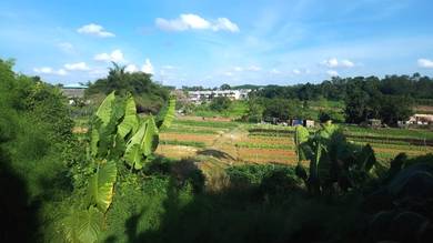 Johor Saleng Taman Sutera 12 Acres Zoning Commercial Land for SALE🔥