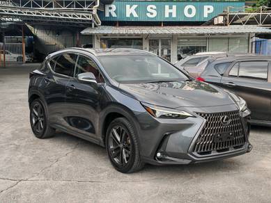 Lexus NX 250 2.5 LUXURY (A) Grade 5A, 17K KM
