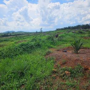 Kulai Sri Putri 20 Acres Industry Land for SALE🔥